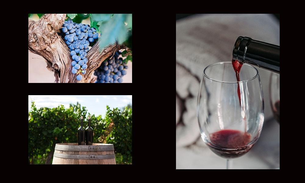 Postponed New Year Wine Tasting Featuring Great Variety of California