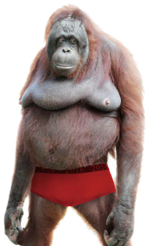 Le Monke PNG Transparent Template, Le Monke / Uh Oh Stinky